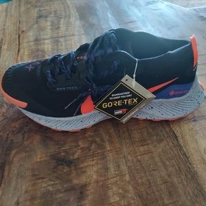 Nike pegasus trail 3 GTX